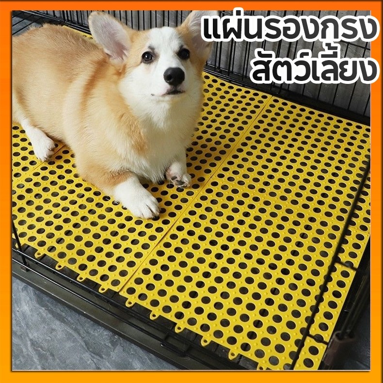 แผ่นรองกรงสัตว์เลี้ยง แผ่นรองพื้นกรง สามารถรวมและตัดได้อย่างอิสระ เหมาะสำหรับ สุนัข แมว กระต่าย 6 สีขนาด30x30 ซม