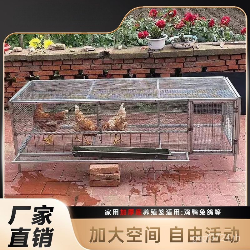 กระรอกหมาป่าหนูหลักฐานหนาไก่กรงครัวเรือนผลที่ดีเข้ารหัสกระต่ายกรงเพาะพันธุ์กรงเป็ดกรงสัตว์ปีกด้านล่างรั่ว