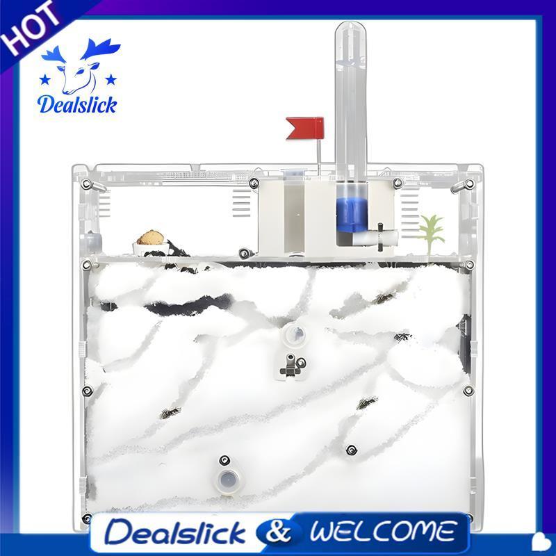 ฟาร์มมดสองด้านมดปราสาททรายดินรัง