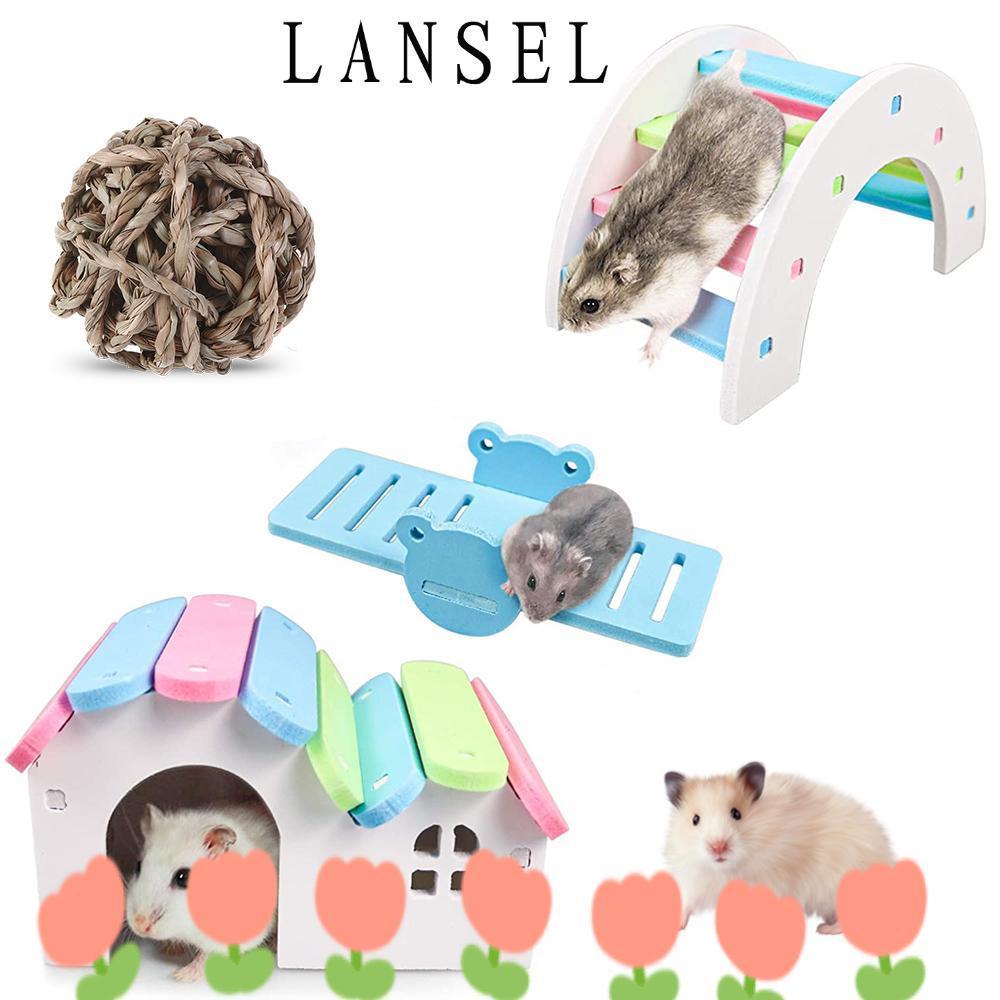 แลนเซล1 หนูแฮมสเตอร์บ้านสะพานสัตว์เล็กดูแลฟันเคี้ยวหญ้าลูก