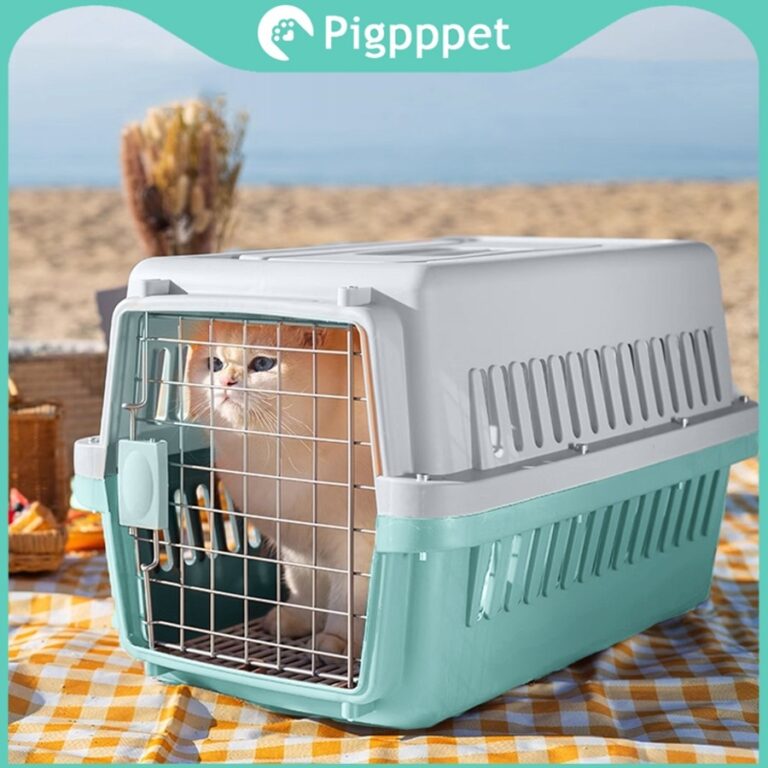 กล่องอากาศสัตว์เลี้ยงระบายอากาศที่แข็งแกร่งขนาดใหญ่ง่ายต่อการพกพาออก