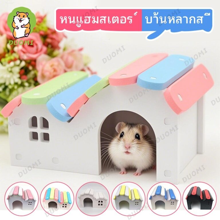 ในสต็อก จัดส่งจากประเทศไทยรังหนูแฮมสเตอร์ หมีสีทองห้องนอนอุปกรณ์รังที่มีสีสันของเล่นไม้บ้านหลังเล็กอุปกรณ์หนูแฮมสเตอร์