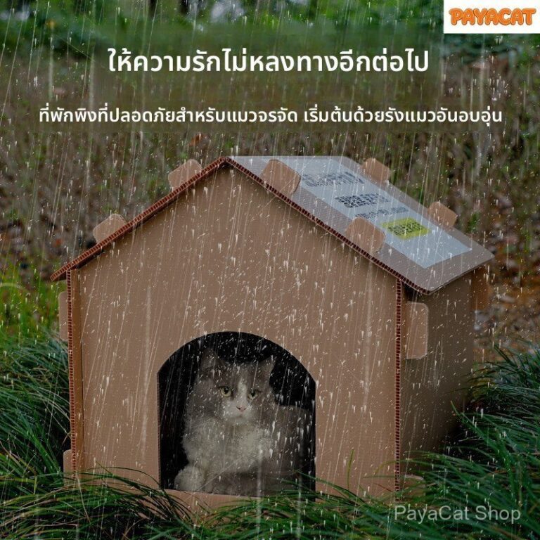 กันน้าเย็นหลักฐานพับได้สินค้าความรักแมวจรจัด AYACAT Stray Cat Litter ครอกแมวกลางแจ้ง บ้านแมวกันน้า ครอกแมวอบอุ่น บ้านสัตว์เลี้ยงพับได้ Love Cat Litter