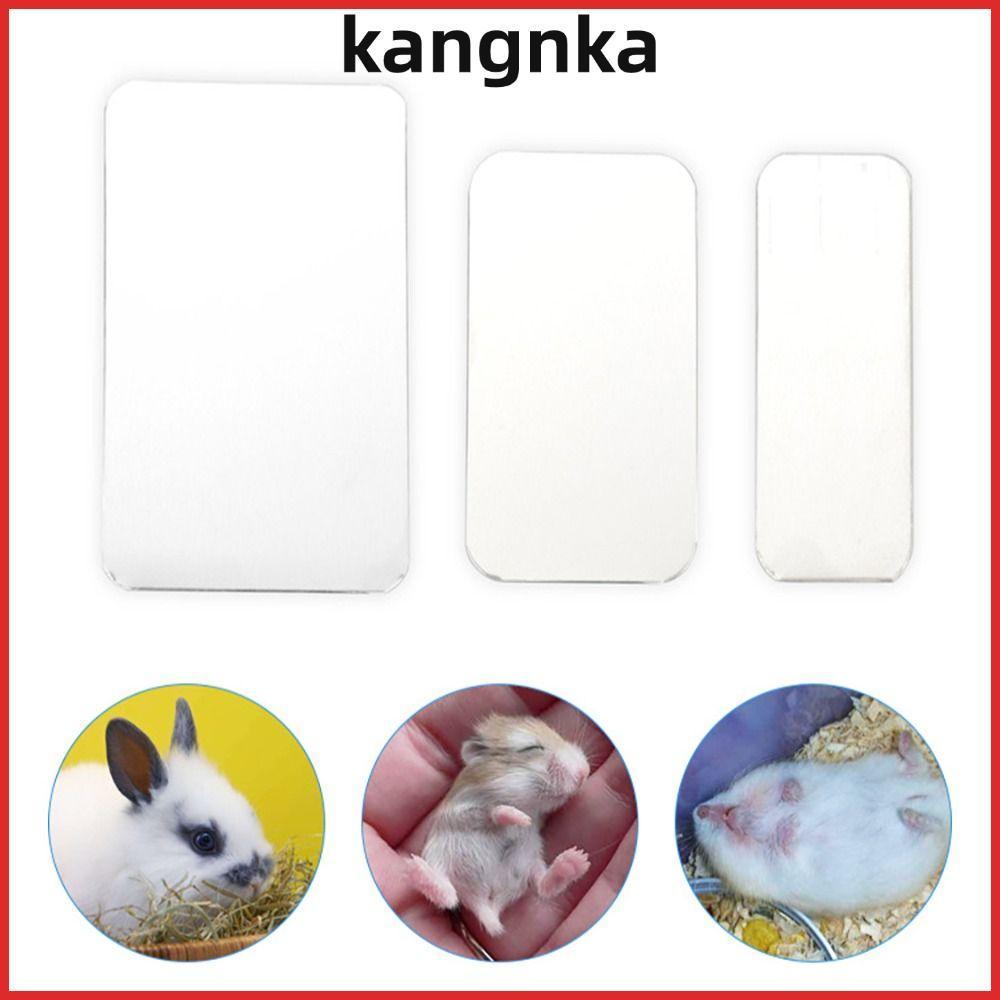 คณะกรรมการระบายความร้อนหนูแฮมสเตอร์ KANGNKA กระดานทาความเย็นสาหรับสัตว์เลี้ยงเย็นสีเงิน อุปกรณ์กระต่ายหนูแฮมสเตอร์พลาสติกอลูมิเนียมแผ่นน้าแข็งสัตว์เลี
