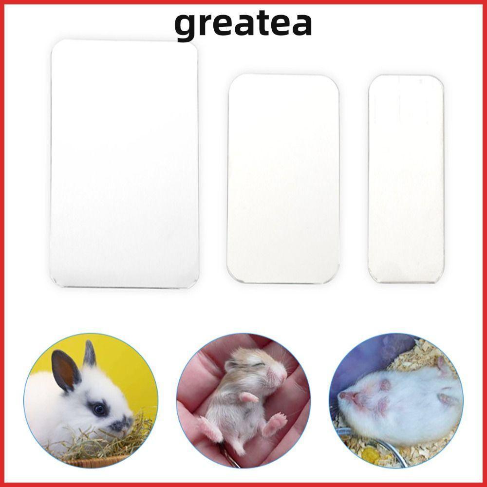 ยอดเยี่ยม กระดานทาความเย็นหนูแฮมสเตอร์ กระดานทาความเย็นสัตว์เลี้ยงเงินอลูมิเนียมพลาสติก อุปกรณ์กระต่ายหนูแฮมสเตอร์เย็นแผ่นน้าแข็งสัตว์เลี