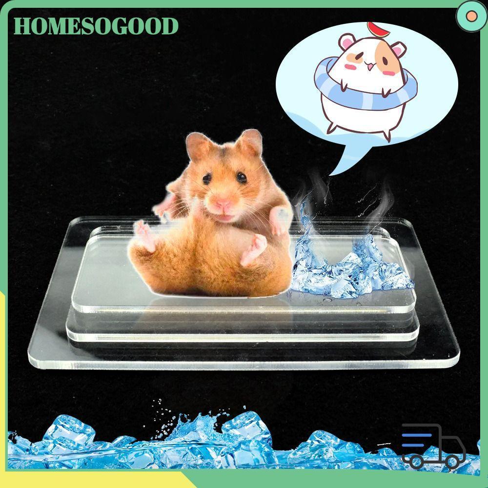 โฮมโซดี แผ่นทาความเย็นสาหรับสัตว์เลี้ยง อุปกรณ์กระต่ายหนูแฮมสเตอร์ แผ่นทาความเย็นหนูแฮมสเตอร์อลูมิเนียมพลาสติก แผ่นน้าแข็งสัตว์เลี