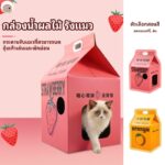 บ้านแมว พร้อมแผ่นกันฝน บ้านแมวน่ารัก บ้านลับเล็บแมว กล่องลับเล็บ บ้านแมว เตียงแมว