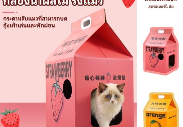 บ้านแมว พร้อมแผ่นกันฝน บ้านแมวน่ารัก บ้านลับเล็บแมว กล่องลับเล็บ บ้านแมว เตียงแมว