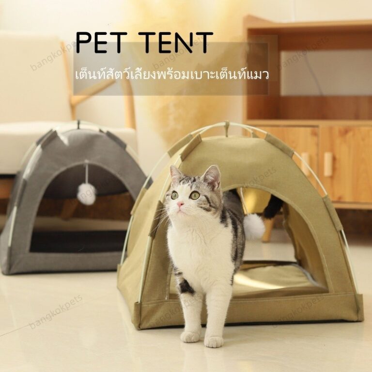 เต็นท์สัตว์เลี้ยงพร้อมเบาะเต็นท์แมว พับเก็บได้ น้ำหนักเบา ที่นอนแมว ที่นอนสุนัข บ้านแมว เต็นท์สัตว์เลี้ยง
