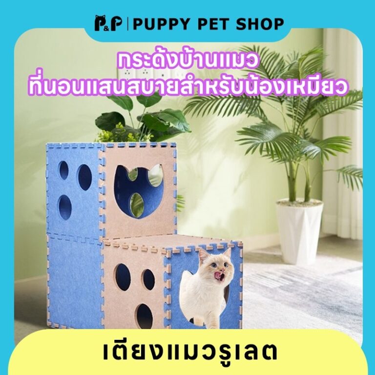 โรงแรมแมว ที่ลับเล็บแมว ที่ลับเล็บชีส บ้านแมว ที่นอน ของเล่นแมว ลับเล็บได้ 2 ชั้น บ้านแมว 2 ชั้น