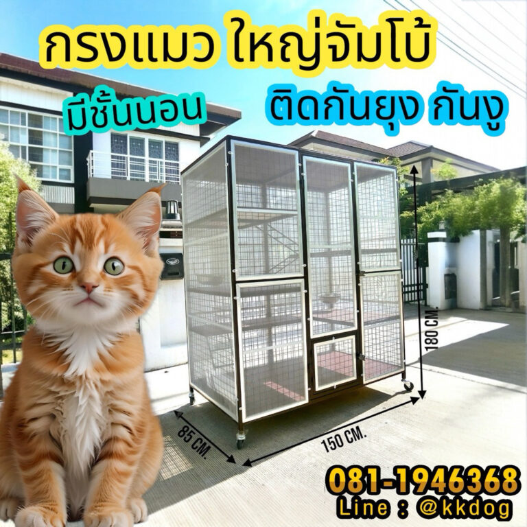 กรงแมวติดกันยุง มีชั้นนอน คอนโดแมว มีของพร้อมส่งได้เลย