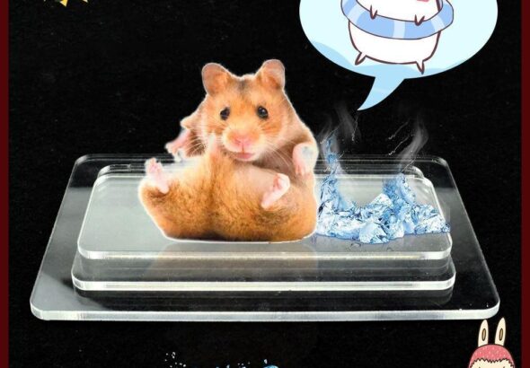 คีย์คูล กระดานทาความเย็นสาหรับสัตว์เลี้ยง แผ่นทาความเย็นหนูแฮมสเตอร์เย็นอลูมิเนียมพลาสติก อุปกรณ์กระต่ายหนูแฮมสเตอร์สีเงินแผ่นน้าแข็งสัตว์เลี