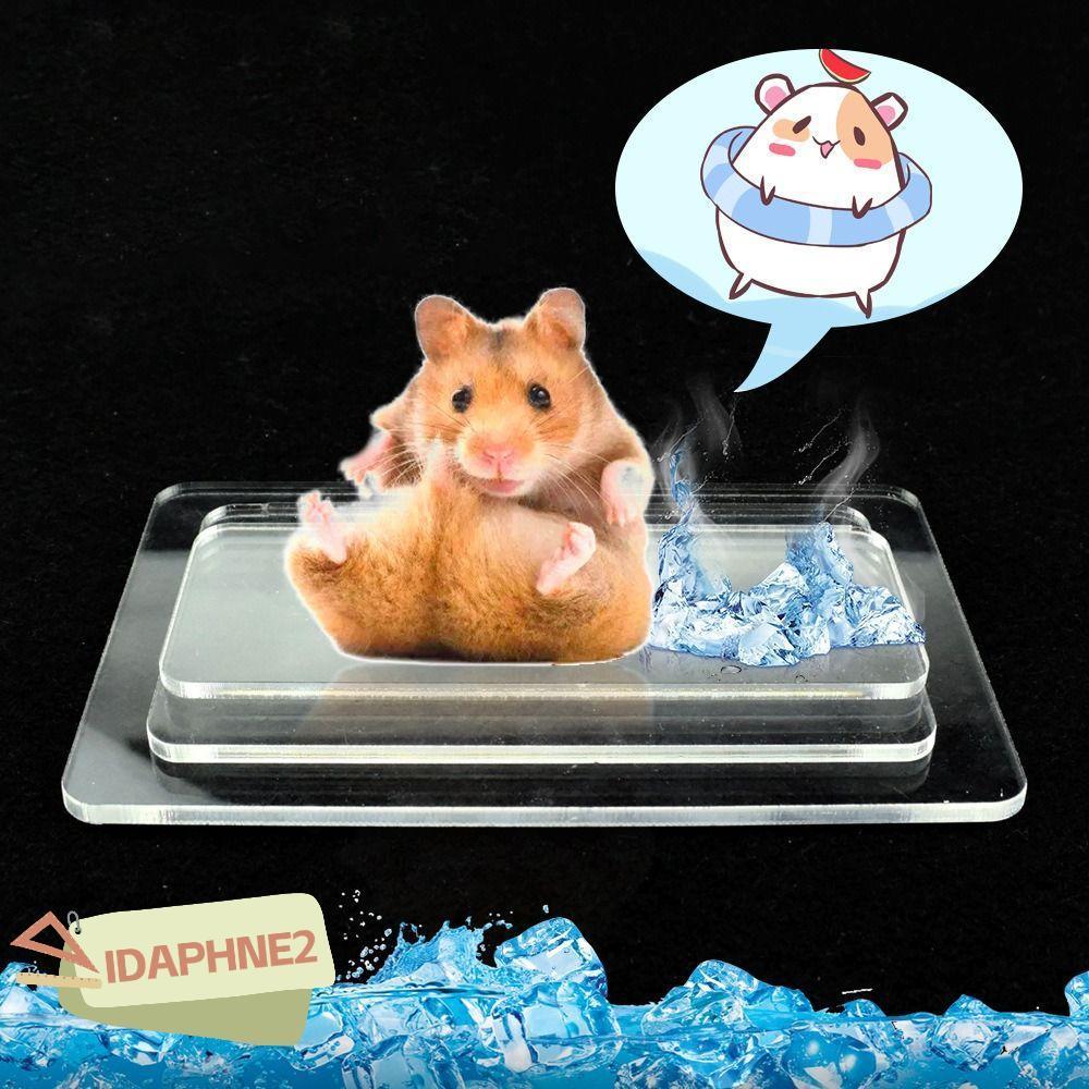 ไอดาฟี2แผ่นทาความเย็นสัตว์เลี้ยงอุปกรณ์กระต่ายหนูแฮมสเตอร์อลูมิเนียมพลาสติกหนูแฮมสเตอร์แผ่นน้าแข็งสัตว์เลี้ยงสีเงินเย็