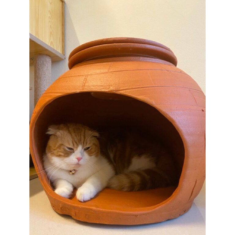 พร้อมส่ง แถมฝาปิด ส่งด่วนฟรี โอ่งแมวดินเผา16 18 20 นิ้ว บ้านแอร์แมว