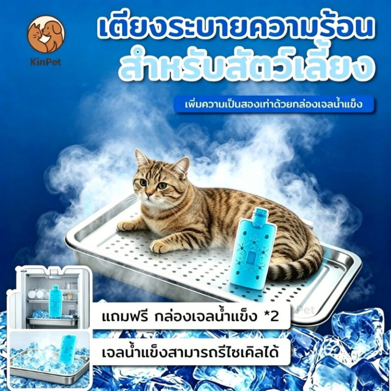 บ้านน้ำแข็งแมว ที่นอนเย็นสำหรับแมว แถมขวดน้ำแข็ง 2 ขวด ที่นอนเย็นสำหรับสัตว์เลี้ยง ้ความเย็นด้วยวิธีทางกายภาพ สะอาด