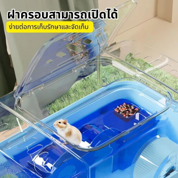 หนูแฮมสเตอร์ตะเภาเลี้ยงกรงสัตว์ครบชุด