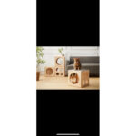 บ้านสัตว์เลี้ยง บ้านแมวงานไม้แท้ สไตล์มินิมอลเป็นโต๊ะข้างในตัววางของใช้ออนกประสงค์ได้